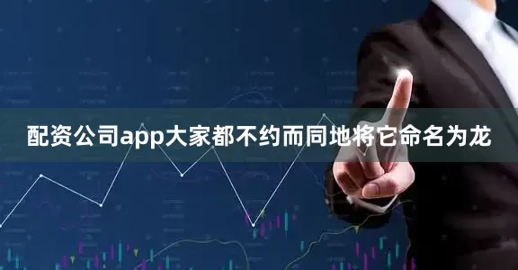 配资公司app大家都不约而同地将它命名为龙