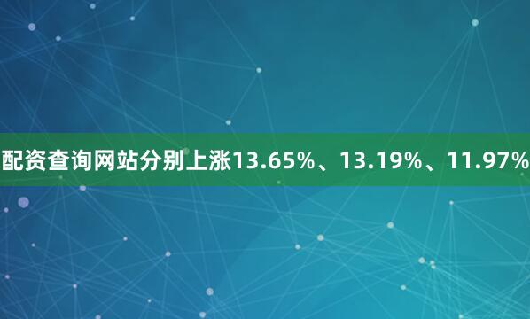 配资查询网站分别上涨13.65%、13.19%、11.97%