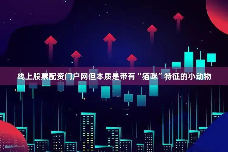线上股票配资门户网但本质是带有“猫咪”特征的小动物